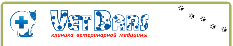 Ветеринарная клиника VetBars, Казань