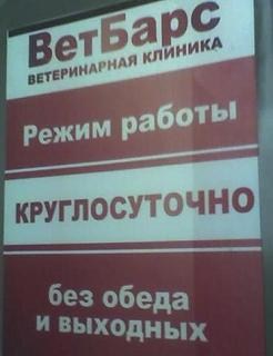 Ветеринарная клиника VetBars, Казань